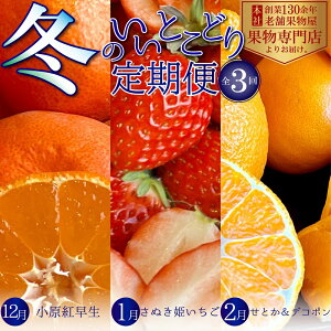 yӂ邳Ɣ[Łz~̂ƂǂցyS3z ʕ t[c fU[g H ~̃t[c ~̉ʕ g ʂP  Ƃ fR| ~̖o@͂F2025N12{`202