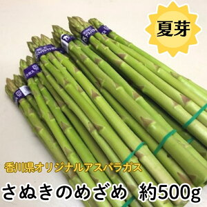 yӂ邳Ɣ[Łz쌧IWiAXpKXuʂ̂߂߁v(ĉ) 500g AXpKX ؁@͂F2025N6{`10{