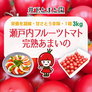 �y�ӂ邳�Ɣ[�Łz�䉺�Ƃ܂Ɖ��̊��n �t���[�c�g�}�g ��3kg �ʕ��� ��� �@���͂��F2025�N12�����{�`2026�N6�����{