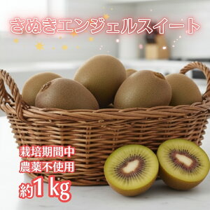 yӂ邳Ɣ[ŁzʂGWFXC[g 1kg i10`15jzƑňb݁BĈ΂ňVg̊Â 쌧IWi LEC i@͂F2025N11{`2026N1{