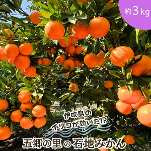 �y�ӂ邳�Ɣ[�Łz�ɐ����̃C���R�ň�Ă�! �܋��̗��̐Βn�݂��� ��3kg���� ���쌧�ω����s�Y �@���͂��F2025�N12�����{�`2026�N1�����{