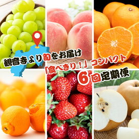 【ふるさと納税】【2026年受付】ご家庭用 食べきり 旬果フルーツ定期便 全6回 　お届け：寄附ご入金確認月の翌月以降の出荷月より6回お届けいたします。