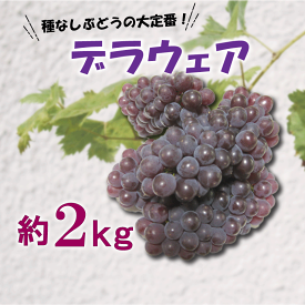 【ふるさと納税】 ぶどう 葡萄 デラウェア 約 2kg 種無し 夏の フルーツ さぬき 香川県