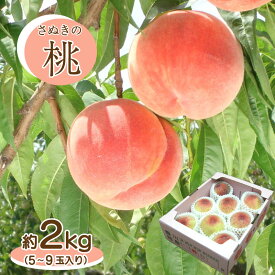 【ふるさと納税】 桃 もも 白桃 フルーツ 約2kg 5～9玉 モモ 香川県 さぬき