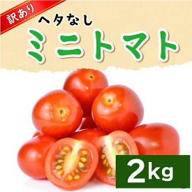 【ふるさと納税】 野菜 訳あり 規格外 ミニトマト トマト ヘタなし 約 2kg