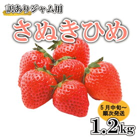【ふるさと納税】 訳あり いちご 苺 ジャム用 さぬきひめ 1.2kg