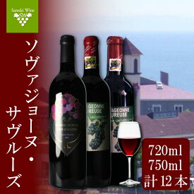 【ふるさと納税】 赤ワイン 12本 セット 飲み比べ 国産 ワイン 日本ワイン 酒 3年代分 ソヴァジョーヌ・サヴルーズ ぶどう 葡萄 香川県 さぬき市 さぬきワイナリー