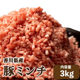 【ふるさと納税】 豚肉 ひき肉 ミンチ 国産 3kg 個包装