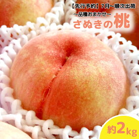 【ふるさと納税】 桃 もも 白桃 約2kg 6～9玉 フルーツ モモ 【先行予約】秀逸品 品種おまかせ 7月～9月発送