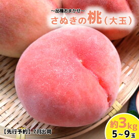 【ふるさと納税】 桃 もも 白桃 約3kg フルーツ 先行予約 秀逸品 品種おまかせ 7月発送