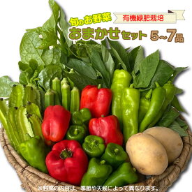 【ふるさと納税】 野菜 セット 詰め合わせ おまかせ 農家直送 5～7品