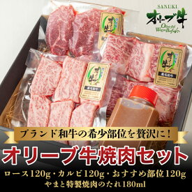 【ふるさと納税】 牛肉 ロース カルビ 国産 焼肉セット A5 希少部位 オリーブ牛 タレ付き 冷凍