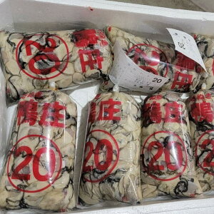 yӂ邳Ɣ[Łzy ނg 1kgyy 1kg ނg Mp  KL  ①  ʂz