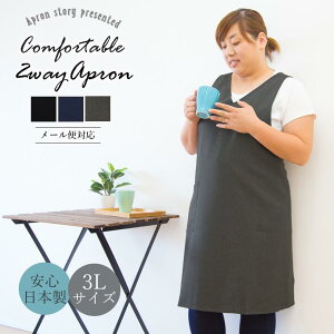 yӂ邳Ɣ[Łz傫ڃTCY2WAY^uG Gv3LTCYyS3FWJz