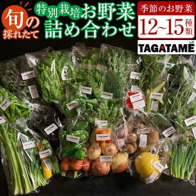 【ふるさと納税】特別栽培 旬の採れたて お野菜 12~15種類詰め合わせセット TAGATAME タガタメ【野菜 特別栽培 大容量 有機野菜 農薬不使用 無農薬】