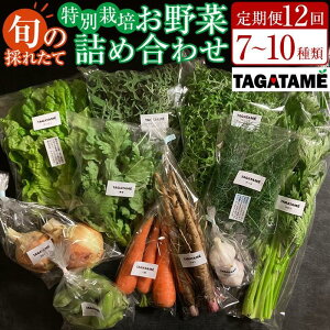 yӂ邳Ɣ[Łzy֑S12z{̍̂ꂽ 7`10ނ؋lߍ킹Zbg(1`2l) TAGATAME ^K^y ʍ͔| L@ _sgp { _z