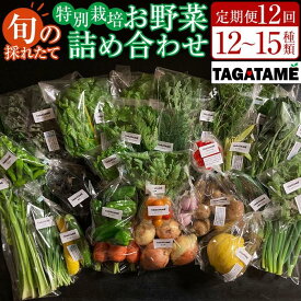 【ふるさと納税】【定期便全12回】旬の採れたて 12～15種類お野菜詰め合わせセット(3～4名様) TAGATAME タガタメ【野菜 特別栽培 有機野菜 農薬不使用 旬 無農薬】