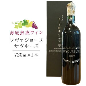 yӂ邳Ɣ[Łz2022\@W[kET[Y CnC 720ml×1{yԃC Y C {C  Ԃǂ  쌧 ʂs ʂCi[z