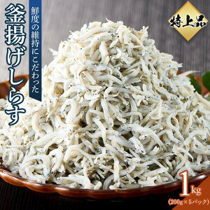 yӂ邳Ɣ[Łzi g 炷 1.0kgi200g×5j  yY  VX 炷   쌧 ʂz