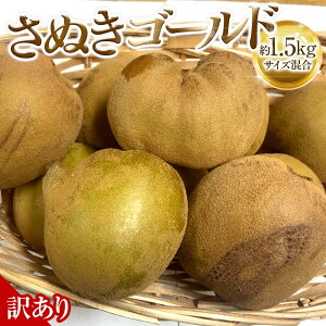 yӂ邳Ɣ[Łzy10{`z󂠂 ʂS[h 1.5kg | LEC 󂠂 ʂS[h S[h ʕ t[c XC[c Yi fU[g { Ԍ