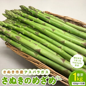 yӂ邳Ɣ[Łzy3{`zʂsY AXpKX ʂ̂߂ t 1kg |  AXpKX AXp O[   Ԍ