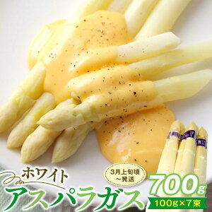 yӂ邳Ɣ[ŁzԌ zCgAXpKX 700g |  AXpKX AXp zCg ̂ꂽ VN { Ԍ