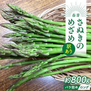 yӂ邳Ɣ[Łzy2{`z󂠂 KiO ʂ̂߂ O 800g t |  󂠂 AXpKX AXp O[   { Ԍ
