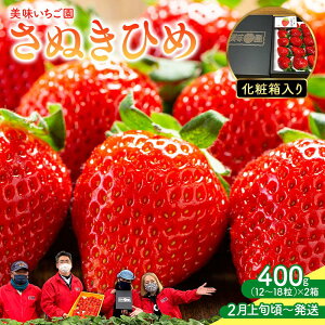yӂ邳Ɣ[Łzy2{`zuʂЂ߁vʂЂ 400g ϔ×2 |   ʂЂ  ʕ t[c XC[c Yi fU[g { Ԍ