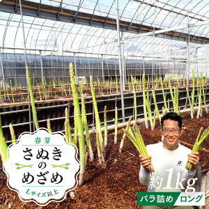 yӂ邳Ɣ[Łzy2{`zJg񂳂ʂ̂߂߃O t 1kg ol |  AXpKX AXp O[   Ԍ