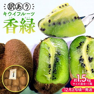 yӂ邳Ɣ[Łzy12{`z󂠂 ΃LEC 1.5kg | LEC 󂠂 ΃LEC O[  ʕ t[c XC[c Yi fU[g { Ԍ