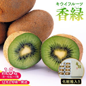 yӂ邳Ɣ[Łzy11{`zLECt[c  (傭) 1.5kg ϔ | LEC ΃LEC O[ ʕ t[c XC[c Yi fU[g  { Ԍ