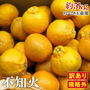 yӂ邳Ɣ[Łzy2{`z󂠂 KiO sm (ʂ) Iׂeʁ | ʂ 󂠂 sm  ʕ t[c k ݂ XC[c Yi fU[g { Ԍ