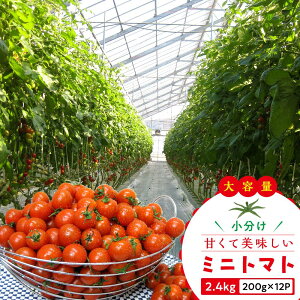 yӂ邳Ɣ[Łzy11{`z~jg}g e 2.4kg  200g×12pbN |  ~jg}g g}g e  VN { Ԍ
