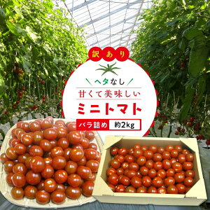 yӂ邳Ɣ[Łzy3{`z󂠂 KiO ~jg}g 2kg |  ~jg}g 󂠂 g}g e VN { Ԍ
