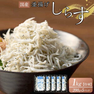 yӂ邳Ɣ[Łzg炷 1kg(200g×5)yY  VX 炷   쌧 ʂz