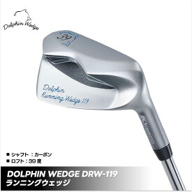 【ふるさと納税】ゴルフクラブ ドルフィンウェッジ DRW-119 ランニングウェッジ ロフト角39度 カーボンシャフト kasco キャスコ | ゴルフ