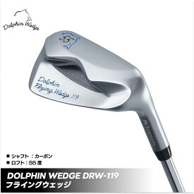 【ふるさと納税】ゴルフクラブ ドルフィンウェッジ DFW-119 フライングウェッジ ロフト角55度 カーボンシャフト ゴルフ キャスコ kasco | ゴルフ