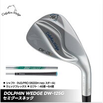 楽天市場】キャスコ ゴルフ クラブdw120gの通販