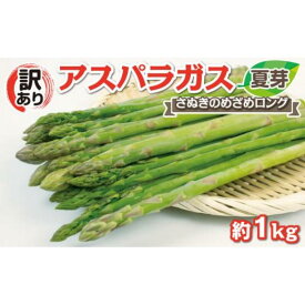 【ふるさと納税】【6月中旬頃～発送】【訳あり】アスパラガス (さぬきのめざめロング)　夏芽 1kg | 野菜 訳あり アスパラガス アスパラ グリーン お取り寄せ 送料無料 夏芽 旬 期間限定