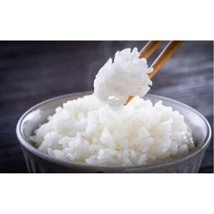 【ふるさと納税】令和7年度産 新米 コシヒカリ 5kg 米