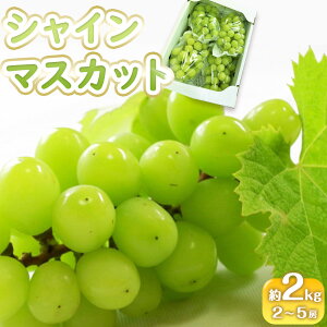 yӂ邳Ɣ[Łzs\ VC}XJbg 2kg (2`5[)y Ԃǂ }XJbg t[c ʕ 쌧Y ʌz
