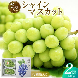 yӂ邳Ɣ[Łzy7{`zVC}XJbg 1kg (2[) ϔ