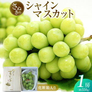 yӂ邳Ɣ[Łzy7{`zVC}XJbg 550g (1[) ϔ