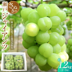 yӂ邳Ɣ[Łzy8{`z˃WCAc 1.2kg