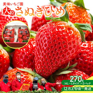 yӂ邳Ɣ[Łzy12{`zuʂЂ߁v嗱 270g×2pbN |   ʂЂ 嗱  ʕ t[c XC[c Yi fU[g { Ԍ