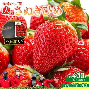 yӂ邳Ɣ[Łzy12{`zuʂЂ߁vϔ 400g |   ʂЂ  ʕ t[c XC[c Yi fU[g { Ԍ