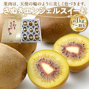 yӂ邳Ɣ[Łzy11{`zʂGWFXC[gLEC1kg ϔ | LEC O[ ʂ GWFXC[g ʕ t[c XC[c Yi fU[g { Ԍ