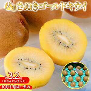 yӂ邳Ɣ[Łzy10{`zʂS[hLEC   3.2kg | LEC ʂS[h  S[h@ ʕ t[c XC[c Yi fU[g { Ԍ