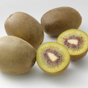 yӂ邳Ɣ[Łzy11{`z󂠂 LEC t[c 1.5kg ʂGWFXC[g | LEC 󂠂 O[ ʂ GWFXC[g  ʕ t[c XC[c 