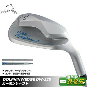 yӂ邳Ɣ[ŁzytgpIzStNu htBEFbW DW-225 fB[X J[{Vtg LXR kasco